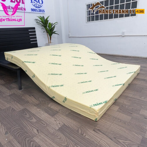 thanh ly nem cu hcm 6