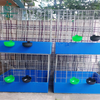 Thanh Lý chuồng gà cũ