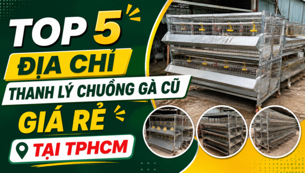 thanh ly chuong ga cu gia re