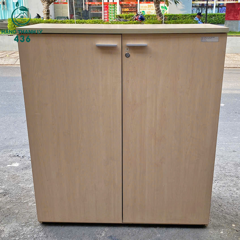 Tủ Hồ Sơ 2 Cánh Cũ Giá Rẻ (Nhiều Kích Thước) tu-ho-so-cu-26 Tủ Hồ Sơ 2 Cánh Cũ Giá Rẻ (Nhiều Kích Thước)