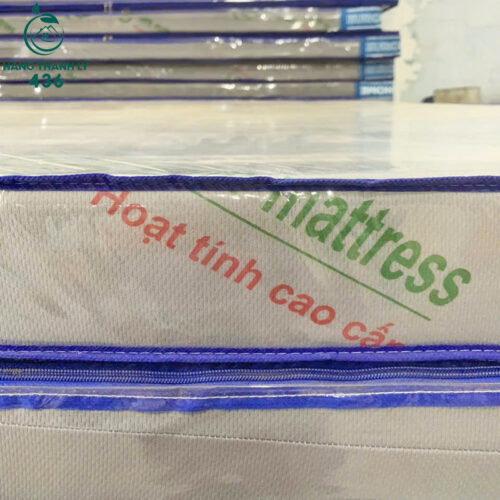 Thanh Lý Nệm Cao Su Non Dày 10CM Mới 99% 5 nem thanh ly 4