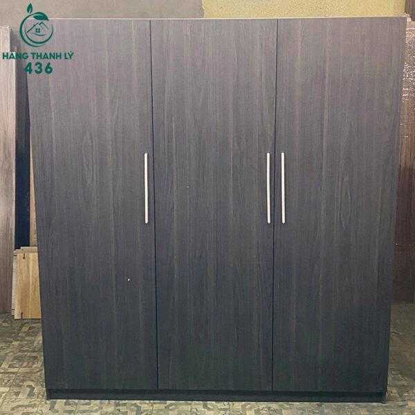 thanh ly tu ao (1) thanh ly tu ao 1