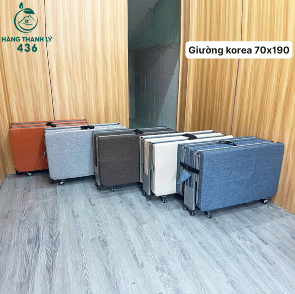 thanh ly giuong gap gon korea nhieu mau 2