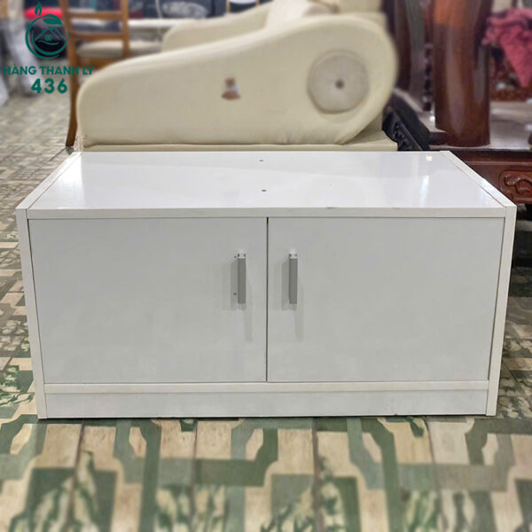 thanh ly tu ho so 2 canh 80cmx39cm 1