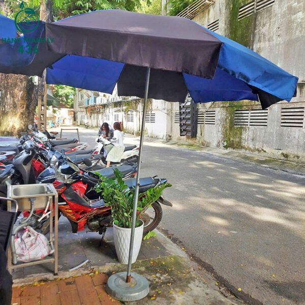 du che nang cu co lon nhieu mau tien loi