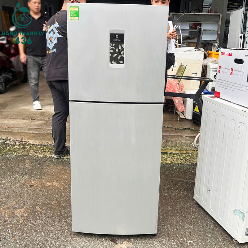 Tủ Lạnh Cũ Thiết Kế 2 Cánh Ngăn Đá Trên Màu Bạc Sang Trọng tu-lanh-cu-thiet-ke-2-canh-ngan-da-tren-mau-bac-sang-trong-4 Tủ Lạnh Cũ Thiết Kế 2 Cánh Ngăn Đá Trên Màu Bạc Sang Trọng