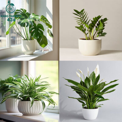 thumnail-copy-400x400 Thanh Lý Bàn Ghế Cũ, Mua Bán Đồ Nội Thất Cũ Giá Rẻ TPHCM