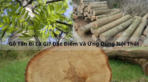 Them-tieu-de-1024-x-572-px-600x335 Thanh Lý Bàn Ghế Cũ, Mua Bán Đồ Nội Thất Cũ Giá Rẻ TPHCM