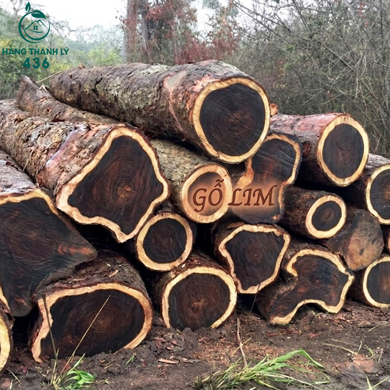 go-lim-co-mau-sac-nau-den-den-van-go-dep Gỗ Tự Nhiên Là Gì? Tìm Hiểu Các Loại Gỗ Tự Nhiên Phổ Biến Nhất Trong Nội Thất