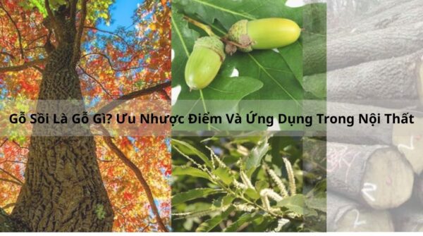 go-soi-la-go-gi-uu-nhuoc-diem-va-ung-dung-trong-noi-that-600x335 Thanh Lý Bàn Ghế Cũ, Mua Bán Đồ Nội Thất Cũ Giá Rẻ TPHCM