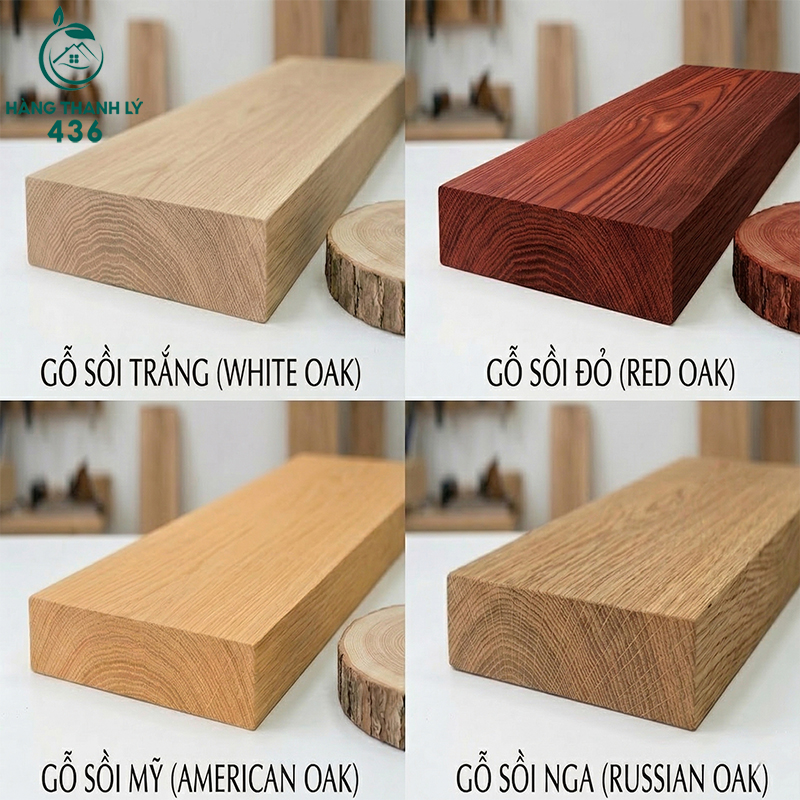 phan-loai-theo-dac-tinh-go Gỗ Sồi Là Gỗ Gì? Ưu Nhược Điểm Và Ứng Dụng Trong Nội Thất