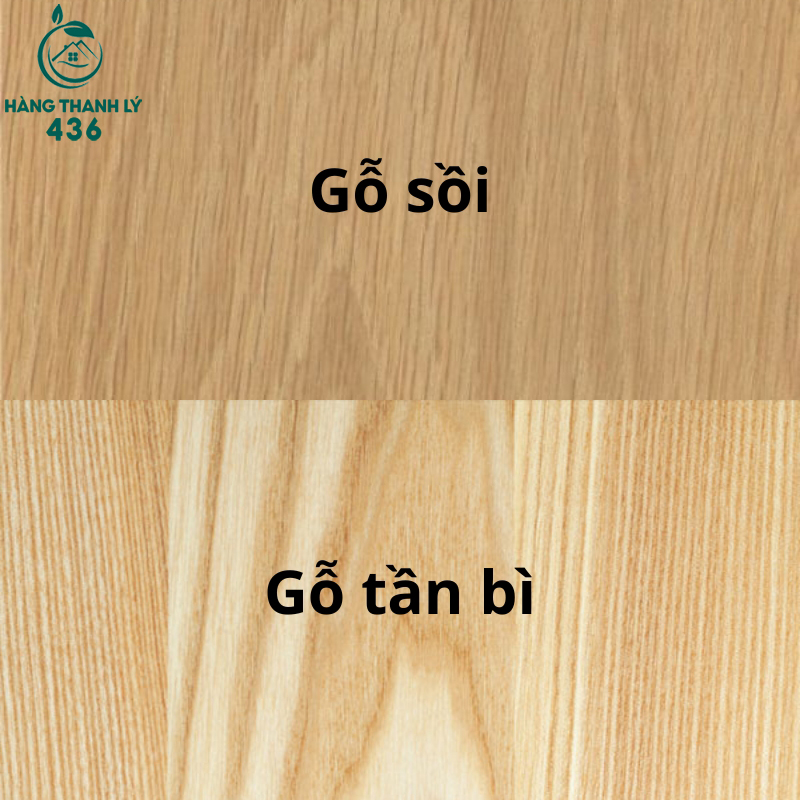 so-sanh-go-tan-bi-va-go-soi Gỗ Tần Bì Là Gì? Đặc Điểm, Ưu Nhược Điểm Và Ứng Dụng Trong Nội Thất