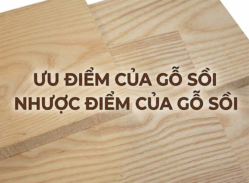 uu-va-nhuoc-diem-cua-go-soi Gỗ Sồi Là Gỗ Gì? Ưu Nhược Điểm Và Ứng Dụng Trong Nội Thất