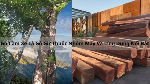 go-cam-xe-la-go-gi-thuoc-nhom-may-va-ung-dung-noi-bat-600x335 Thanh Lý Bàn Ghế Cũ, Mua Bán Đồ Nội Thất Cũ Giá Rẻ TPHCM