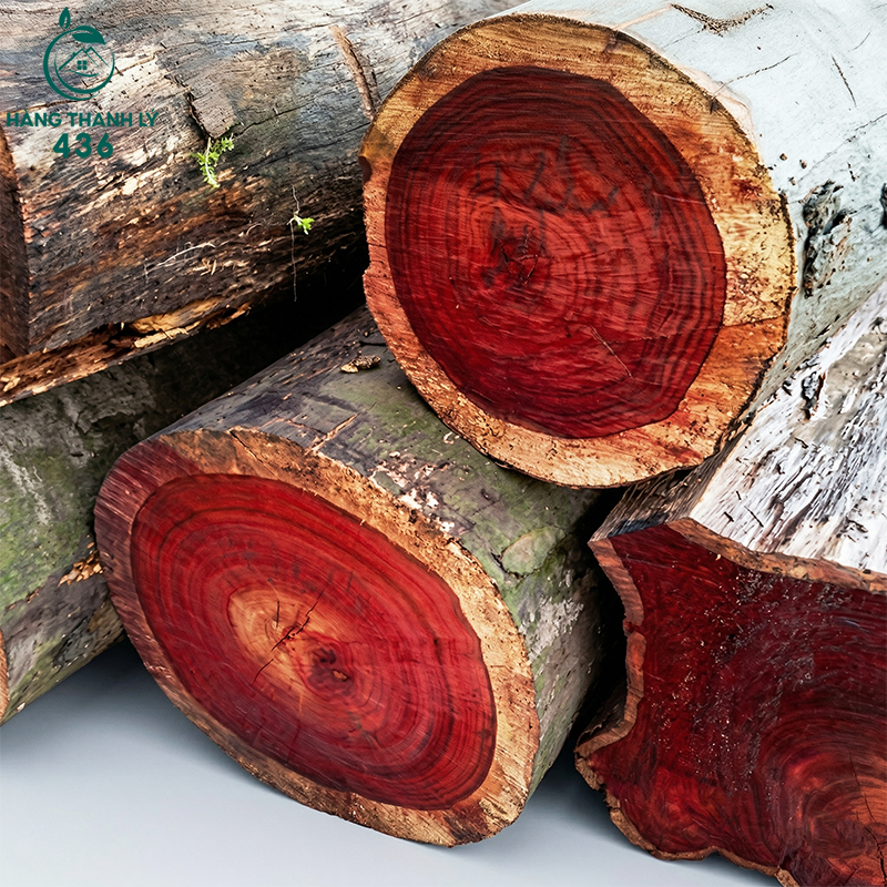 go-huong-la-gi Gỗ Hương Là Gì? Gỗ Hương Thuộc Nhóm Mấy Và Ứng Dụng Trong Nội Thất