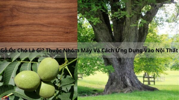 go-oc-cho-la-gi-thuoc-nhom-may-va-cach-ung-dung-vao-noi-that-600x335 Thanh Lý Bàn Ghế Cũ, Mua Bán Đồ Nội Thất Cũ Giá Rẻ TPHCM