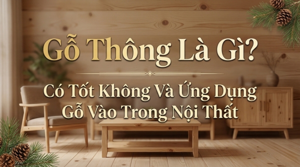 Gỗ Thông Là Gì? Có Tốt Không Và Ứng Dụng Gỗ Vào Trong Nội Thất 15 go thong la go gi