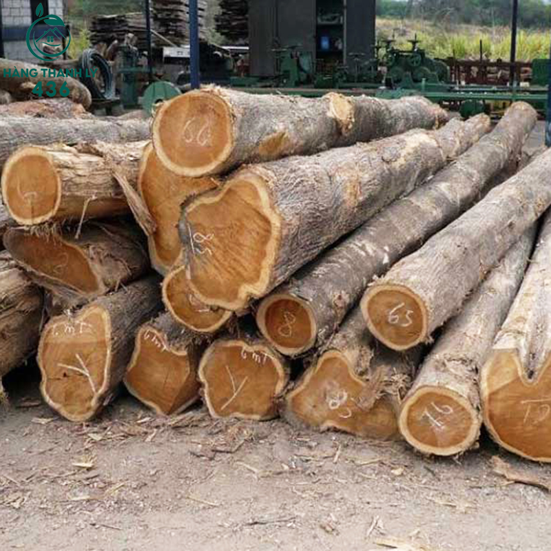 uu-diem-va-nhuoc-diem-cua-go-xoan-dao Gỗ Xoan Đào Là Gỗ Gì​ ? Đặc Điểm Và Ứng Dụng Trong Nội Thất