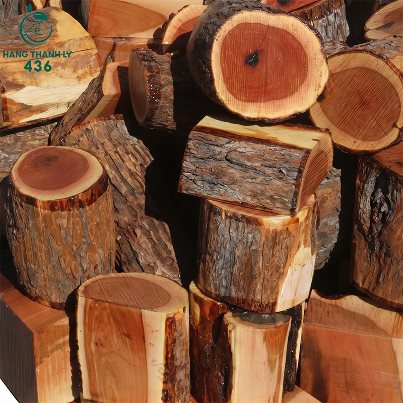 Gỗ bạch đàn là loại gỗ được khai thác từ cây bạch đàn