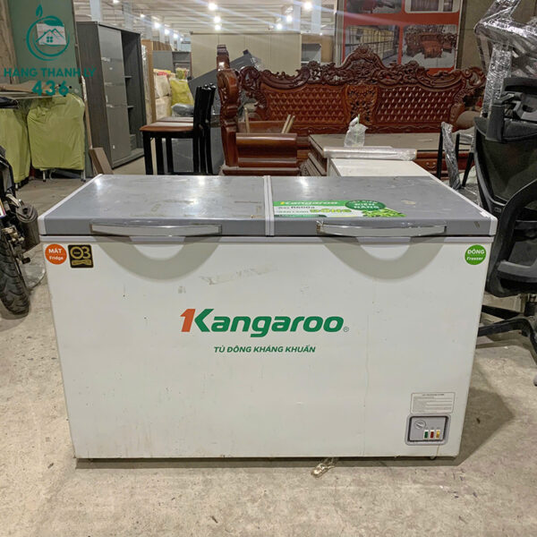 tu dong kangaroo cu 2 canh mau trang 220v 4