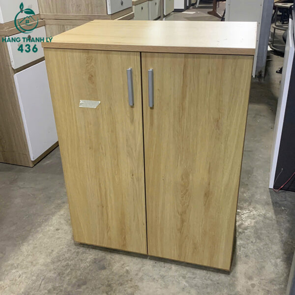 tu ho so cu 60cmx40cmx80cm hai canh mau van go sang 1