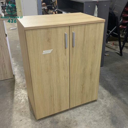 tu ho so cu 60cmx40cmx80cm hai canh mau van go sang 2