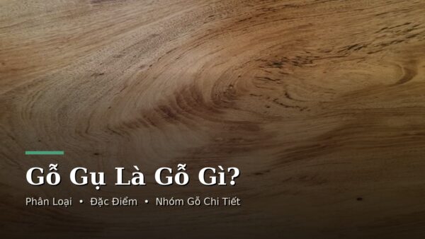 Gỗ Gụ Là Gỗ Gì? Đặc Điểm, Phân Loại Và Cách Nhận Biết Chuẩn Nhất 76 Gỗ gụ là gỗ gì đặc điểm