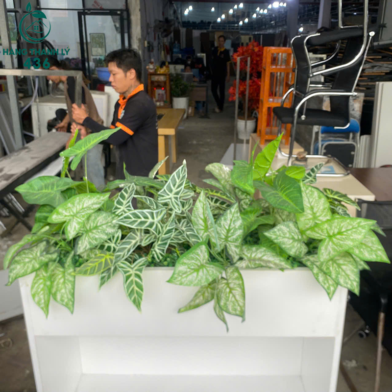 Tủ Kệ Trang Trí Cũ Màu Trắng 85cm 6 tu ke trang tri cu mau trang 1 1