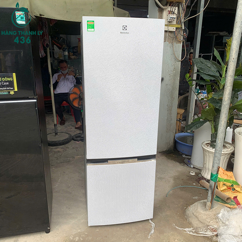 Tủ Lạnh Electrolux Cũ Hai Cửa Màu Trắng 7 tu lanh electrolux cu hai cua mau trang 3